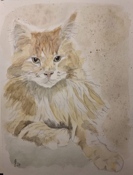 Ehemalige Haupttribüne des Wedaustadions Duisburg